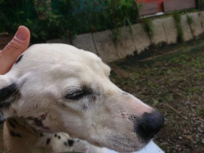 f:id:roukenhome-ann:20190710142258j:plain
