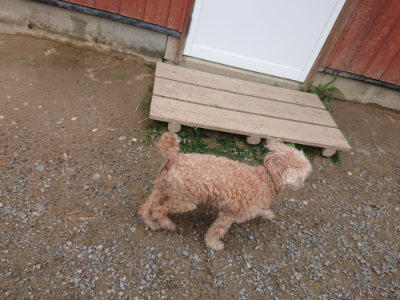 f:id:roukenhome-ann:20190710142337j:plain
