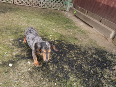 f:id:roukenhome-ann:20190710142342j:plain