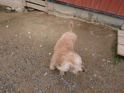 f:id:roukenhome-ann:20190710142404j:plain
