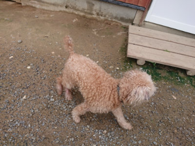 f:id:roukenhome-ann:20190710142412j:plain