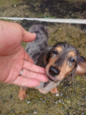 f:id:roukenhome-ann:20190710142429j:plain