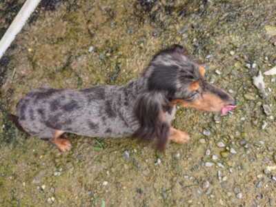 f:id:roukenhome-ann:20190710142434j:plain