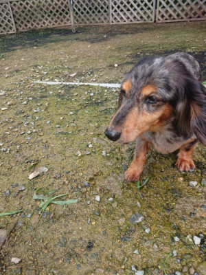 f:id:roukenhome-ann:20190710142458j:plain