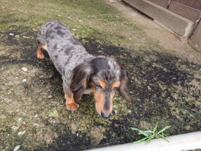 f:id:roukenhome-ann:20190710142532j:plain