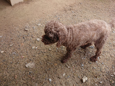 f:id:roukenhome-ann:20190710142645j:plain