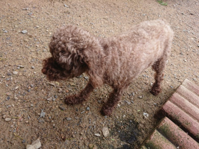 f:id:roukenhome-ann:20190710142712j:plain