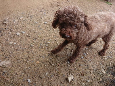 f:id:roukenhome-ann:20190710142717j:plain