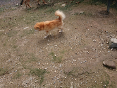 f:id:roukenhome-ann:20190710142722j:plain