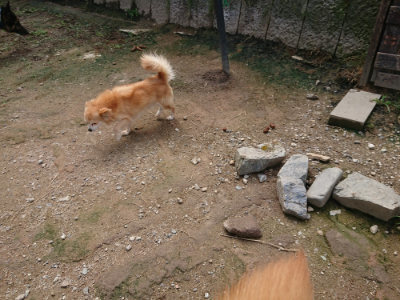 f:id:roukenhome-ann:20190710142742j:plain