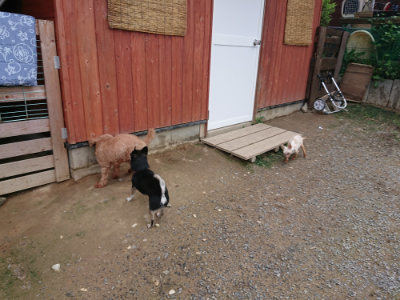 f:id:roukenhome-ann:20190710142817j:plain