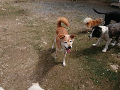 f:id:roukenhome-ann:20190710142828j:plain