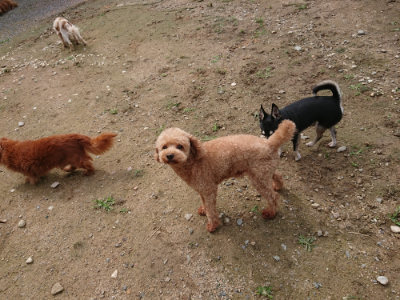 f:id:roukenhome-ann:20190710142838j:plain