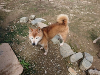 f:id:roukenhome-ann:20190710142847j:plain