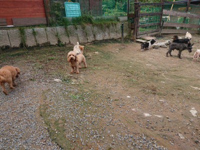 f:id:roukenhome-ann:20190710142930j:plain