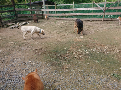 f:id:roukenhome-ann:20190710143056j:plain