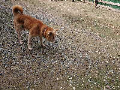 f:id:roukenhome-ann:20190710143113j:plain