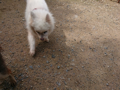 f:id:roukenhome-ann:20190710143128j:plain