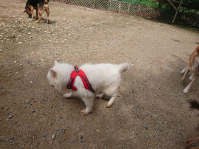f:id:roukenhome-ann:20190710143134j:plain