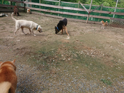 f:id:roukenhome-ann:20190710143150j:plain