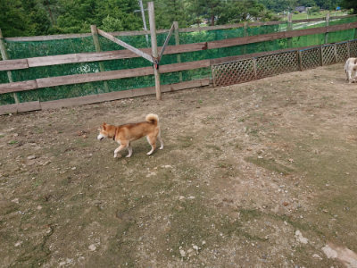 f:id:roukenhome-ann:20190710143155j:plain