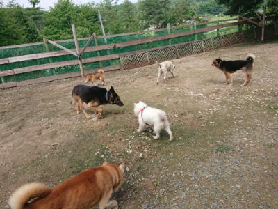 f:id:roukenhome-ann:20190710143214j:plain