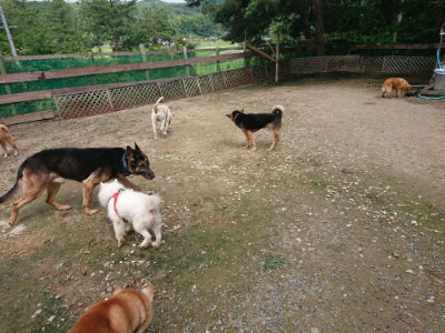f:id:roukenhome-ann:20190710143220j:plain