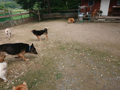 f:id:roukenhome-ann:20190710143227j:plain