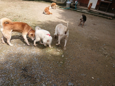 f:id:roukenhome-ann:20190710143306j:plain