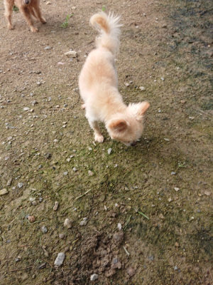 f:id:roukenhome-ann:20190710143317j:plain