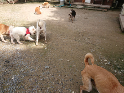 f:id:roukenhome-ann:20190710143327j:plain