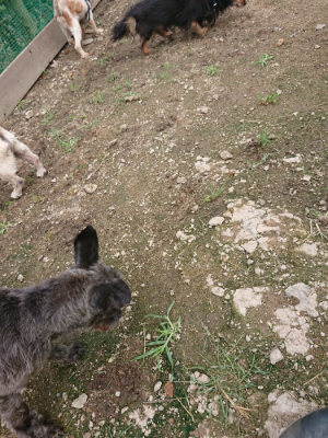f:id:roukenhome-ann:20190710143401j:plain