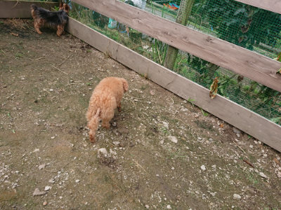 f:id:roukenhome-ann:20190710143505j:plain