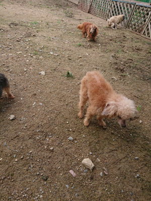 f:id:roukenhome-ann:20190710143522j:plain