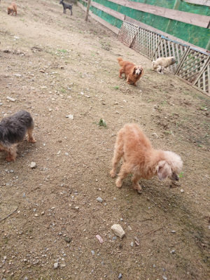 f:id:roukenhome-ann:20190710143543j:plain