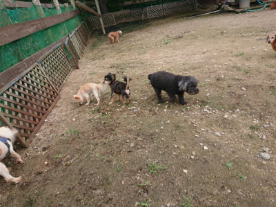 f:id:roukenhome-ann:20190710143549j:plain