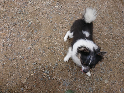 f:id:roukenhome-ann:20190710143558j:plain