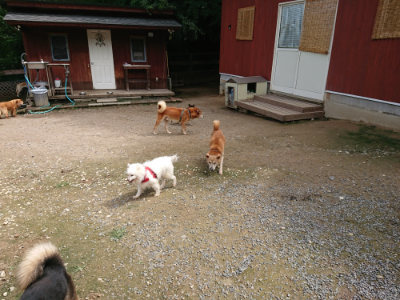 f:id:roukenhome-ann:20190710143956j:plain