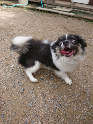 f:id:roukenhome-ann:20190710144010j:plain