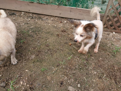 f:id:roukenhome-ann:20190710144040j:plain