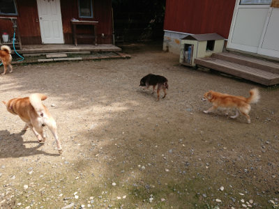 f:id:roukenhome-ann:20190710144045j:plain