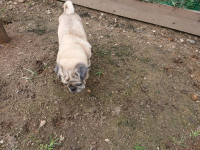 f:id:roukenhome-ann:20190710144059j:plain