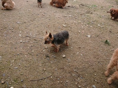 f:id:roukenhome-ann:20190710144115j:plain