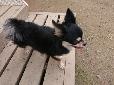 f:id:roukenhome-ann:20190710144154j:plain