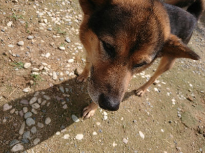 f:id:roukenhome-ann:20190710144208j:plain