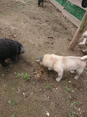 f:id:roukenhome-ann:20190710144223j:plain
