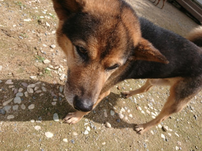 f:id:roukenhome-ann:20190710144227j:plain
