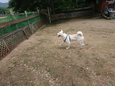 f:id:roukenhome-ann:20190710144252j:plain