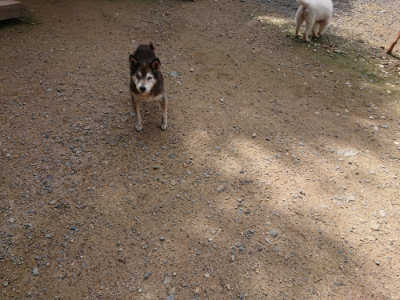 f:id:roukenhome-ann:20190710144347j:plain