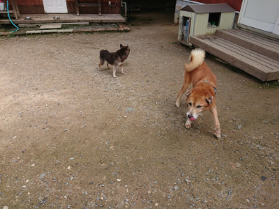 f:id:roukenhome-ann:20190710144412j:plain